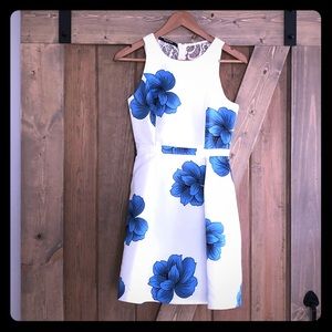 Nadine Milan Italy blue poppy lace back dress XS open back floral print